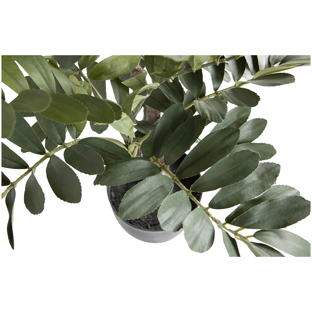 Dirbtinis augalas Zamia, 76 cm (žalia)