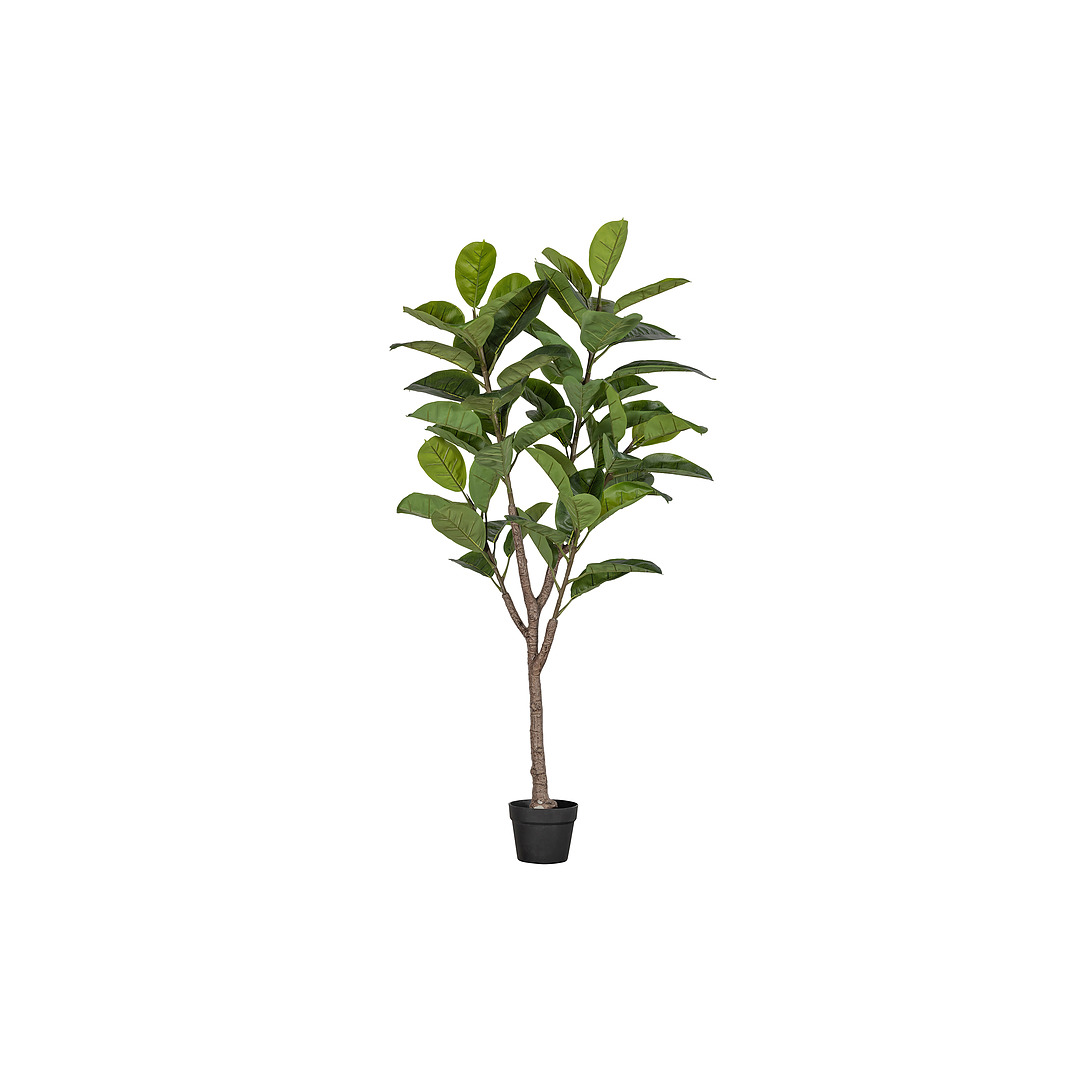 Dirbtinis augalas Rubberboom, 135 cm (žalia)