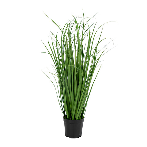 Dirbtinis augalas Poa Grass