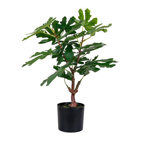 Dirbtinis augalas Fig, 50 cm (žalia)