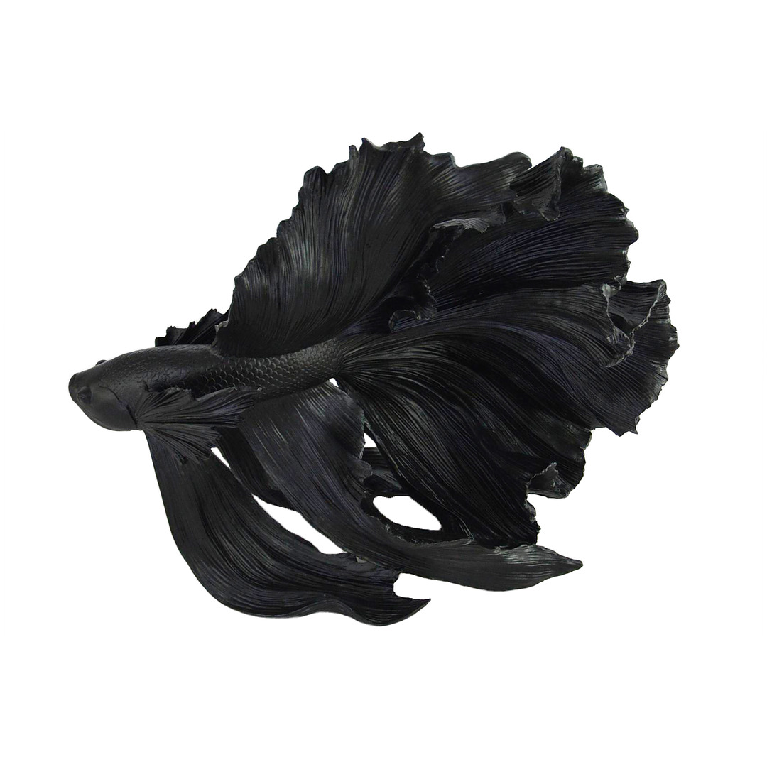 Dekoratyvinė žuvis Crowntail, 60 cm, juoda