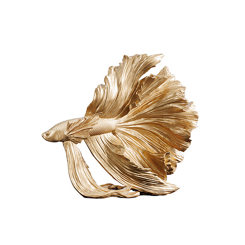 Dekoratyvinė žuvis Crowntail, 36 cm, aukso