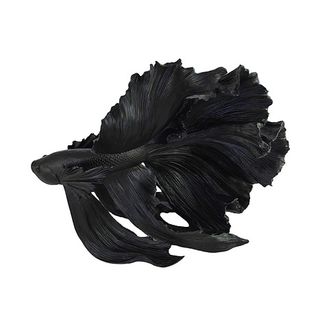 Dekoratyvinė žuvis Crowntail, 60 cm, juoda