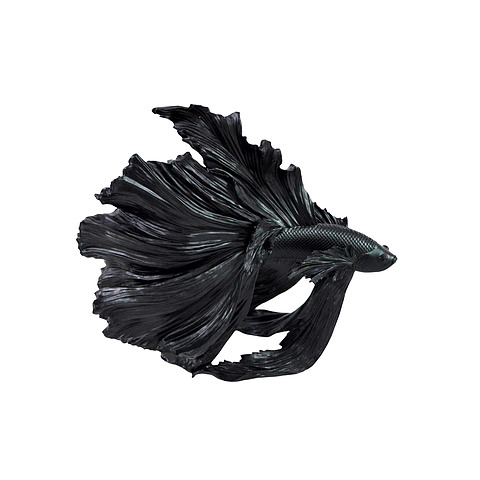 Dekoratyvinė žuvis Crowntail, 36 cm, juoda